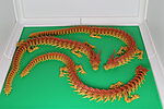 Dragon articulat  31 cm