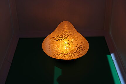 Lampa fosforescenta ciupercuță